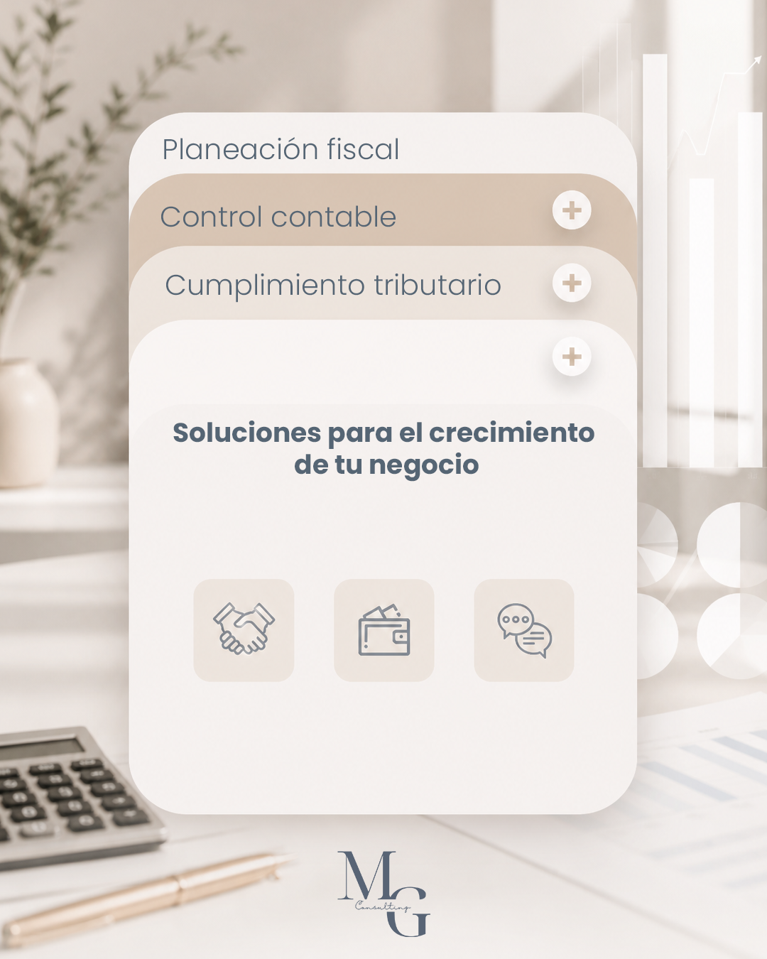 MG Consulting asset